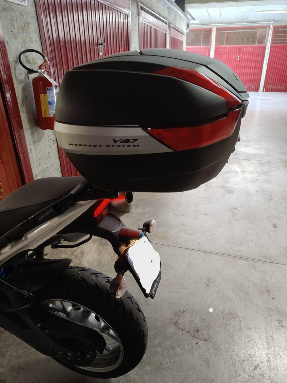 Triumph Tiger 1050 (2006 - 12) (4)