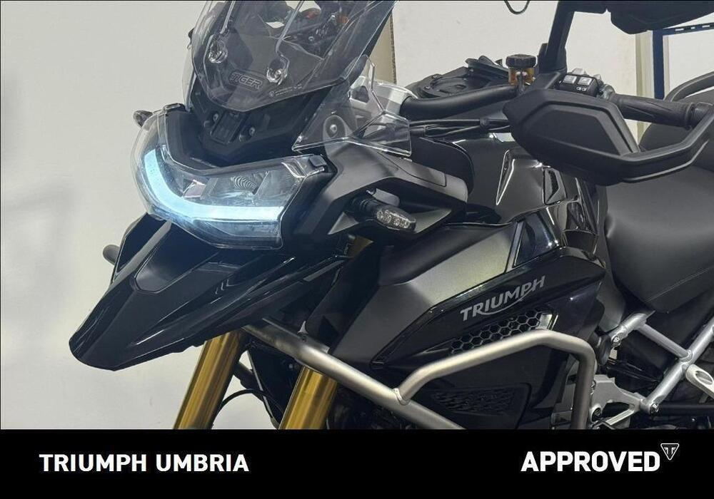 Triumph Tiger 1200 Rally Explorer (2022 - 23) (9)