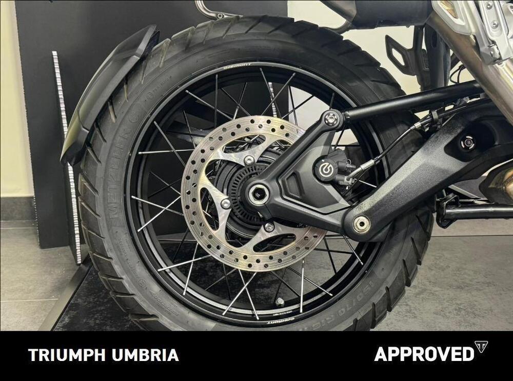 Triumph Tiger 1200 Rally Explorer (2022 - 23) (6)