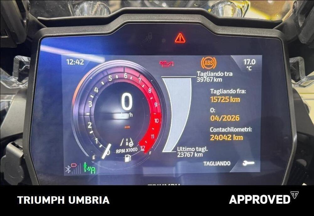 Triumph Tiger 1200 Rally Explorer (2022 - 23) (10)