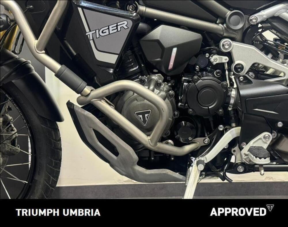Triumph Tiger 1200 Rally Explorer (2022 - 23) (12)