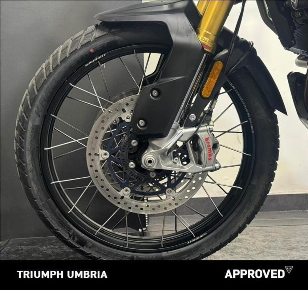 Triumph Tiger 1200 Rally Explorer (2022 - 23) (13)