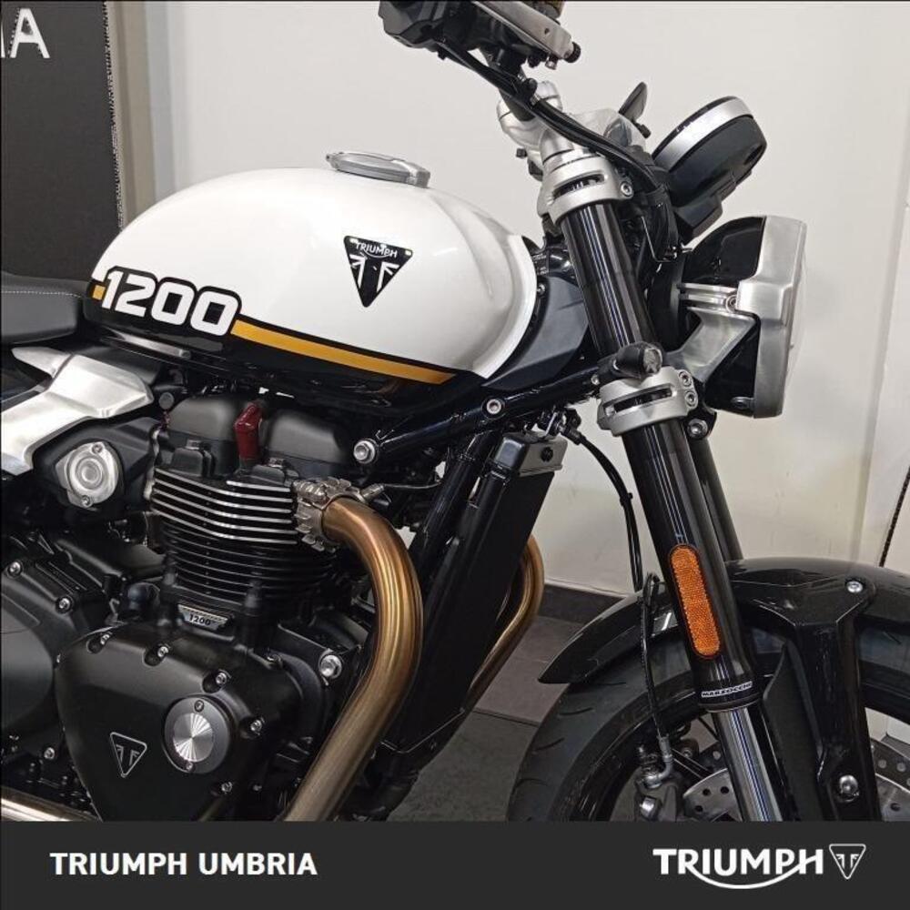 Triumph Speed Twin 1200 (2025 - 26) (8)