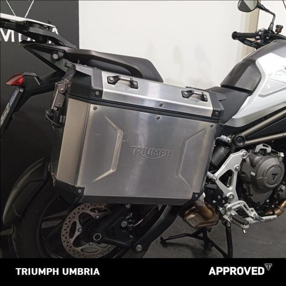 Triumph Tiger 1200 GT Pro (2022 - 23) (9)