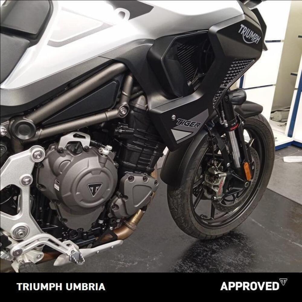 Triumph Tiger 1200 GT Pro (2022 - 23) (11)
