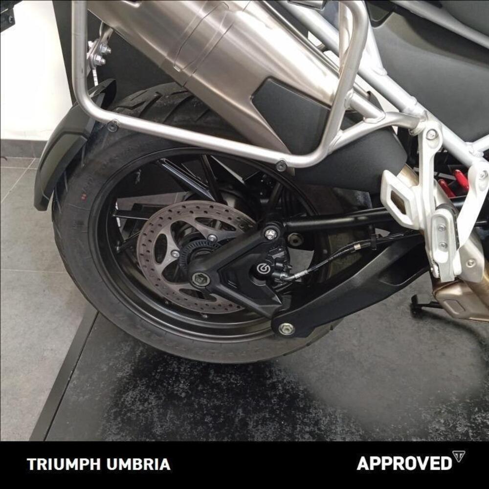 Triumph Tiger 1200 GT Pro (2022 - 23) (12)