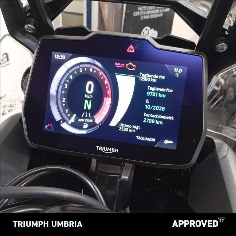 Triumph Tiger 900 Rally Pro (2024 - 26) (6)