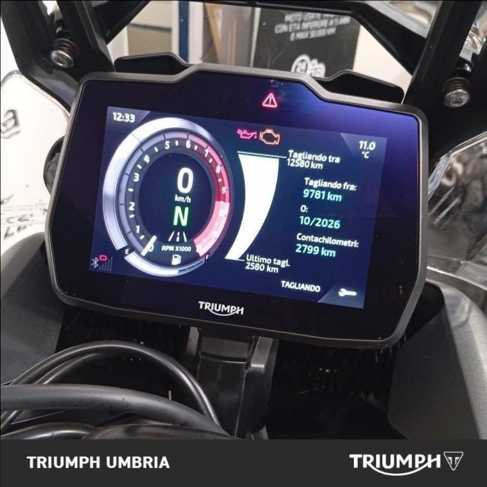 Triumph Tiger 900 Rally Pro (2024 - 26) (6)