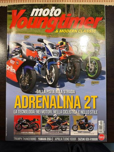 Triumph Thunderbird 900 Sport (2003 - 04) usata