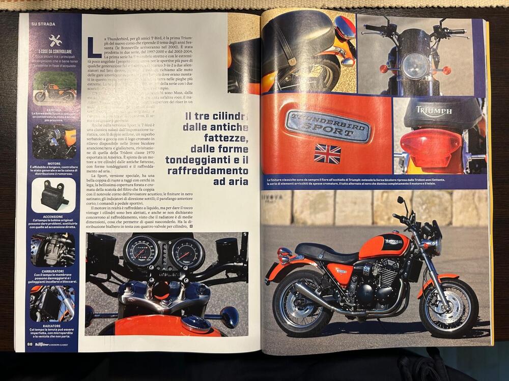 Triumph Thunderbird 900 Sport (2003 - 04) (3)