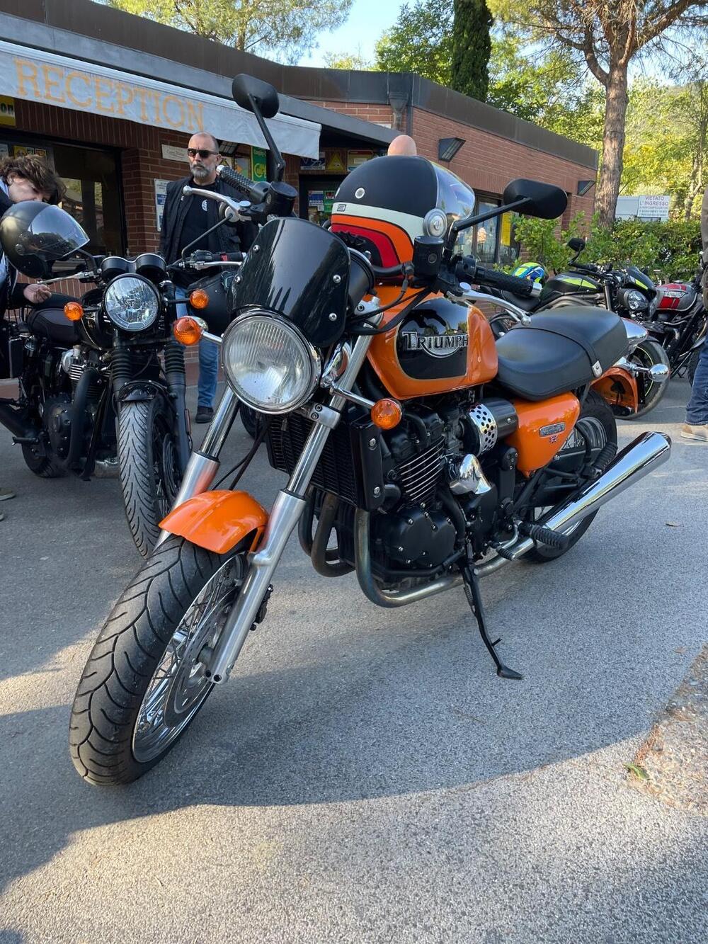 Triumph Thunderbird 900 Sport (2003 - 04) (8)