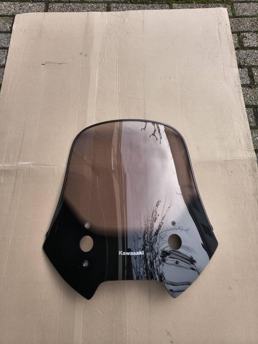 Cupolino Kawasaky Versys Kawasaki