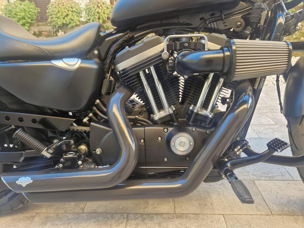 Harley-Davidson 883 Iron (2014 - 16) - XL 883N (7)