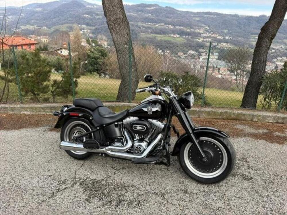Harley-Davidson 1584 Fat Boy (2008 - 10) - FLSTF (17)