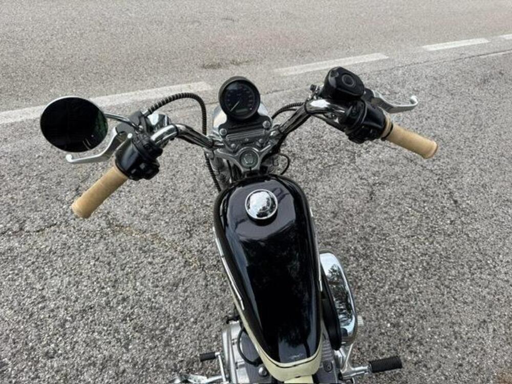 Harley-Davidson 883 Standard (2001 - 05) - XL 883 (3)