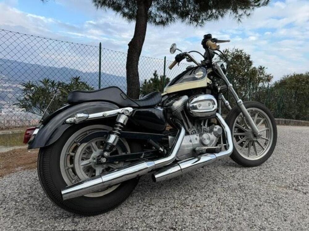 Harley-Davidson 883 Standard (2001 - 05) - XL 883 (7)