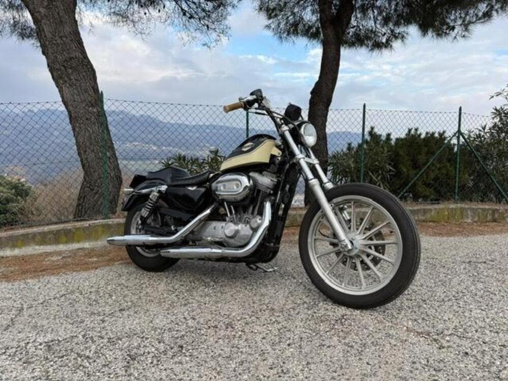 Harley-Davidson 883 Standard (2001 - 05) - XL 883 (9)