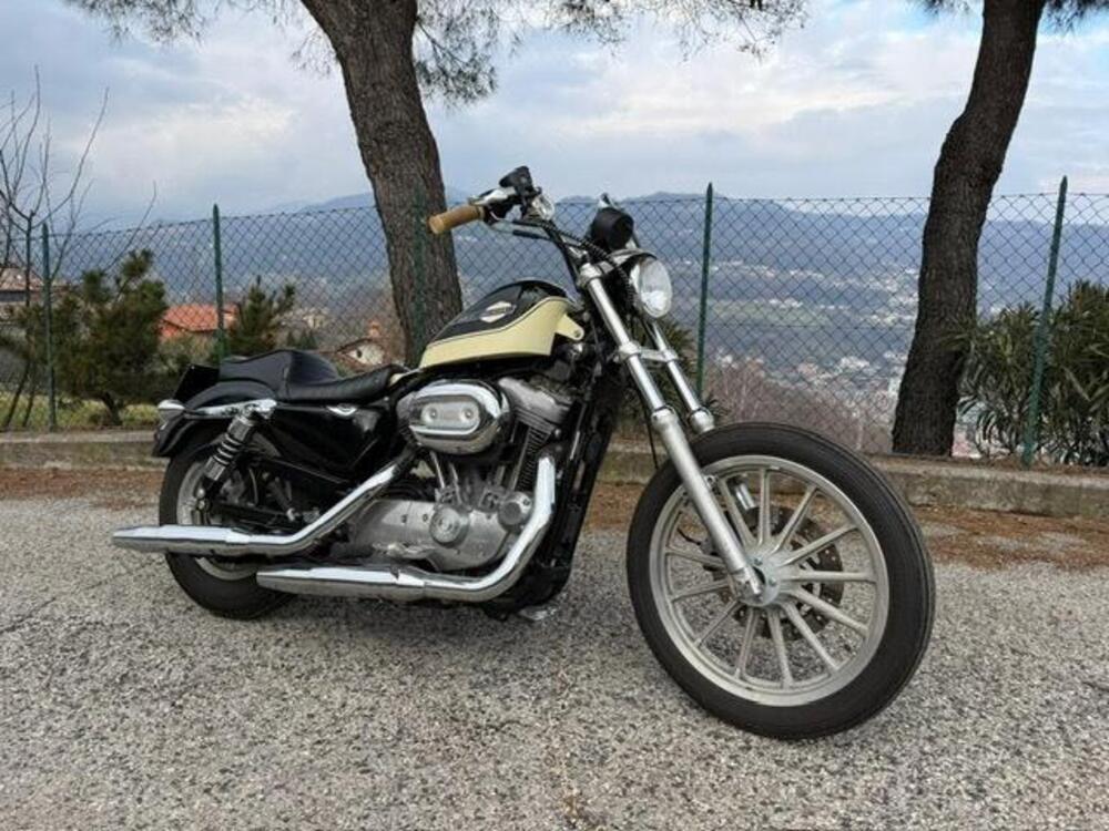 Harley-Davidson 883 Standard (2001 - 05) - XL 883 (10)