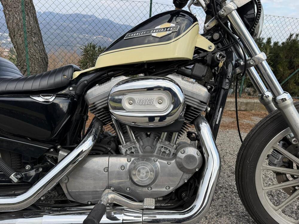 Harley-Davidson 883 Standard (2001 - 05) - XL 883 (11)