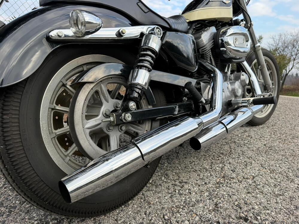 Harley-Davidson 883 Standard (2001 - 05) - XL 883 (13)