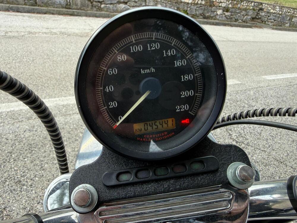 Harley-Davidson 883 Standard (2001 - 05) - XL 883 (14)