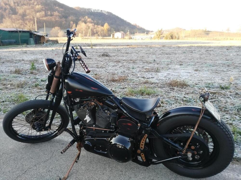 Harley-Davidson 1340 Springer (1990 - 98) - FXSTS (10)