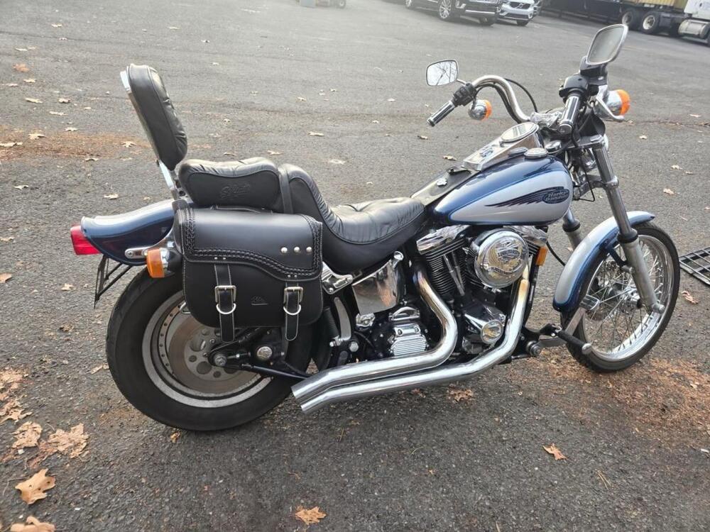 Harley-Davidson 1340 Custom (1989 - 98) (3)