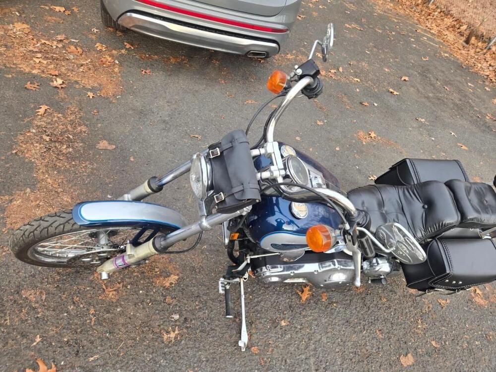 Harley-Davidson 1340 Custom (1989 - 98) (2)