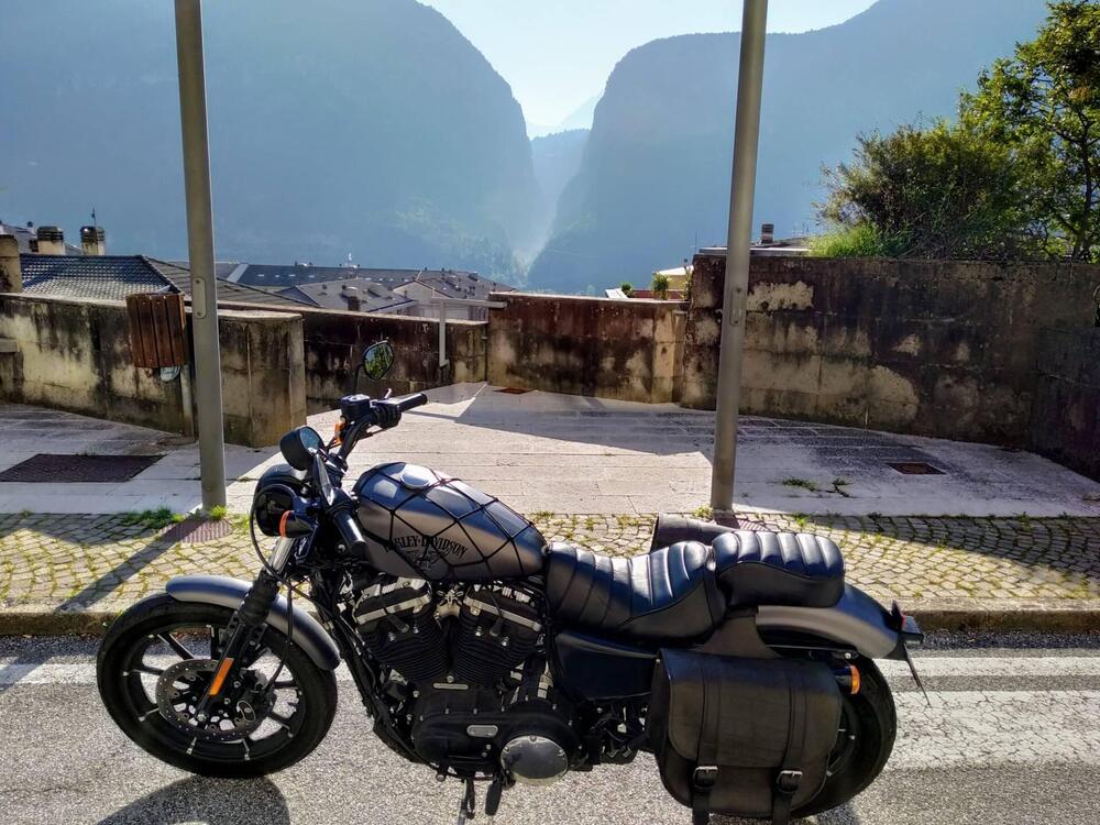 Harley-Davidson 883 Iron (2017 - 20) - XL 883N