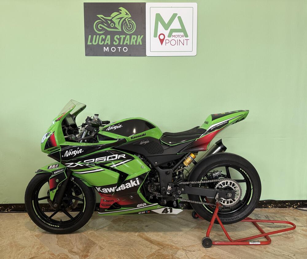 Kawasaki Ninja 250 R (2007 - 13) (2)