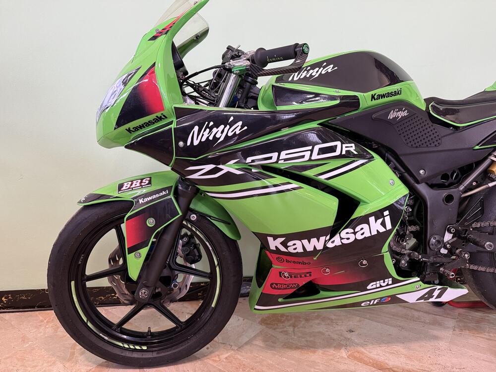 Kawasaki Ninja 250 R (2007 - 13) (6)