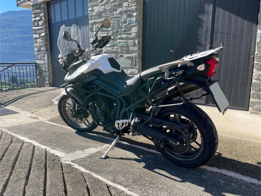 Triumph Tiger 800 ABS (2010 - 14) (5)