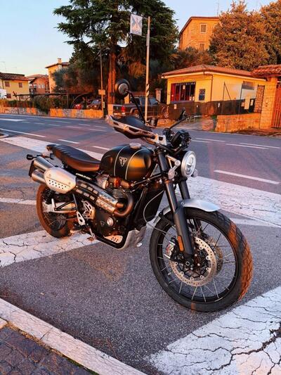 Triumph Scrambler 1200 XC (2021 - 23) usata