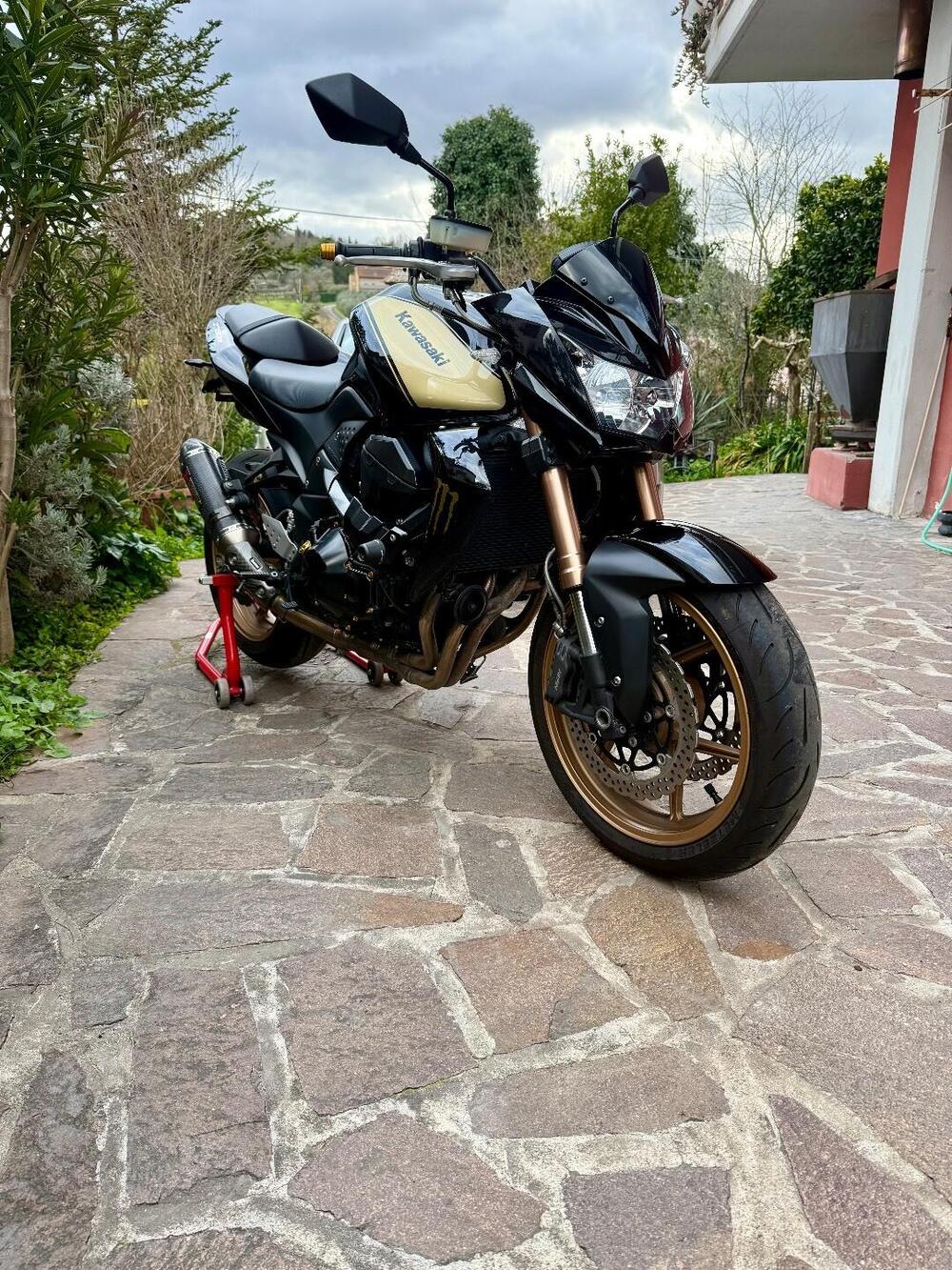 Kawasaki Z 750 R (2011 - 14) (5)