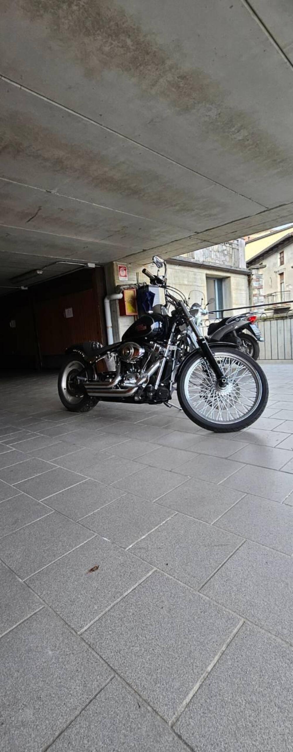Harley-Davidson 1584 Custom (2007) - FXSTC (4)