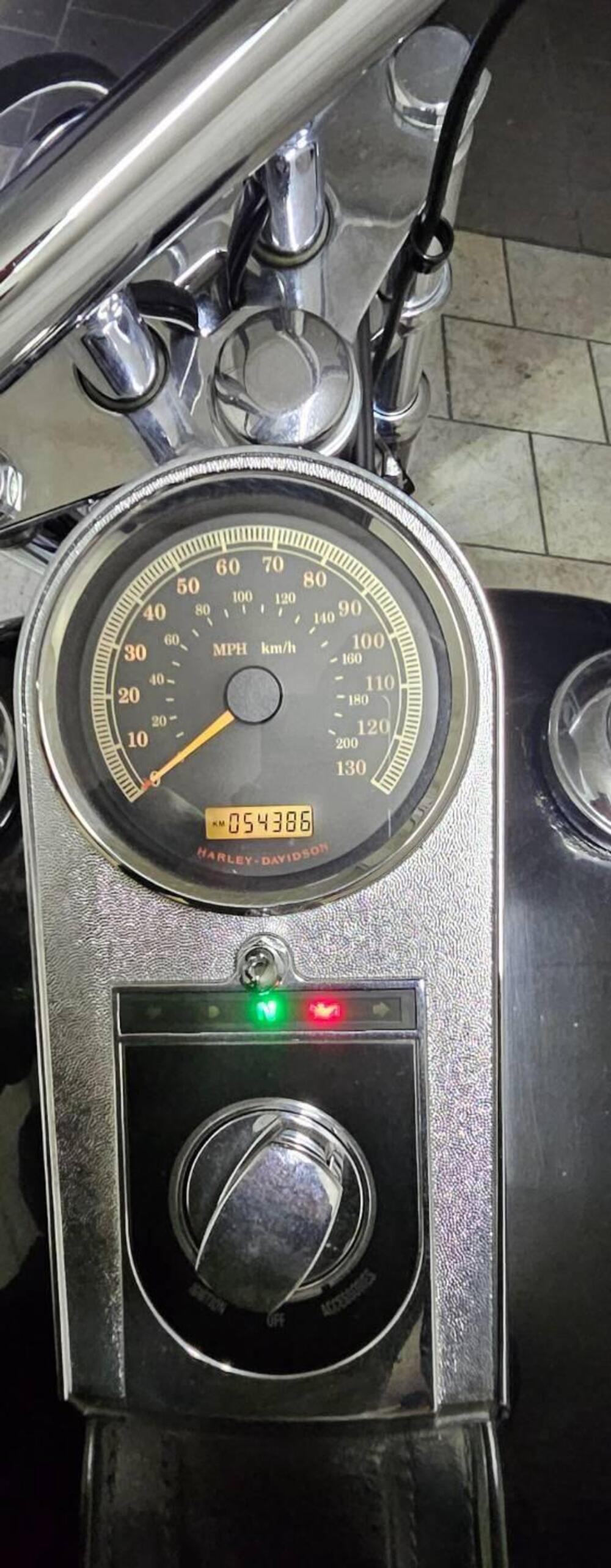 Harley-Davidson 1584 Custom (2007) - FXSTC (5)