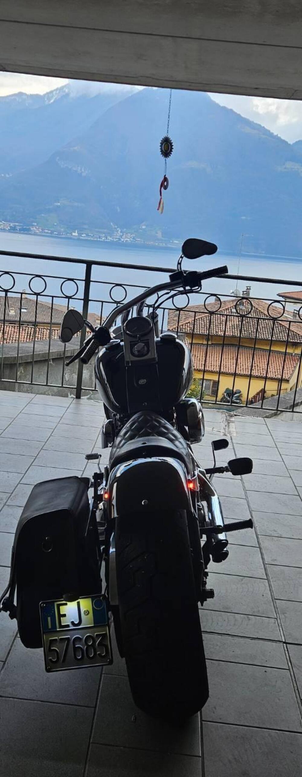 Harley-Davidson 1584 Custom (2007) - FXSTC (6)