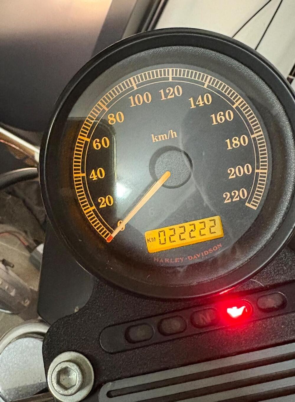 Harley-Davidson 883 (2008 - 09) - XL (4)