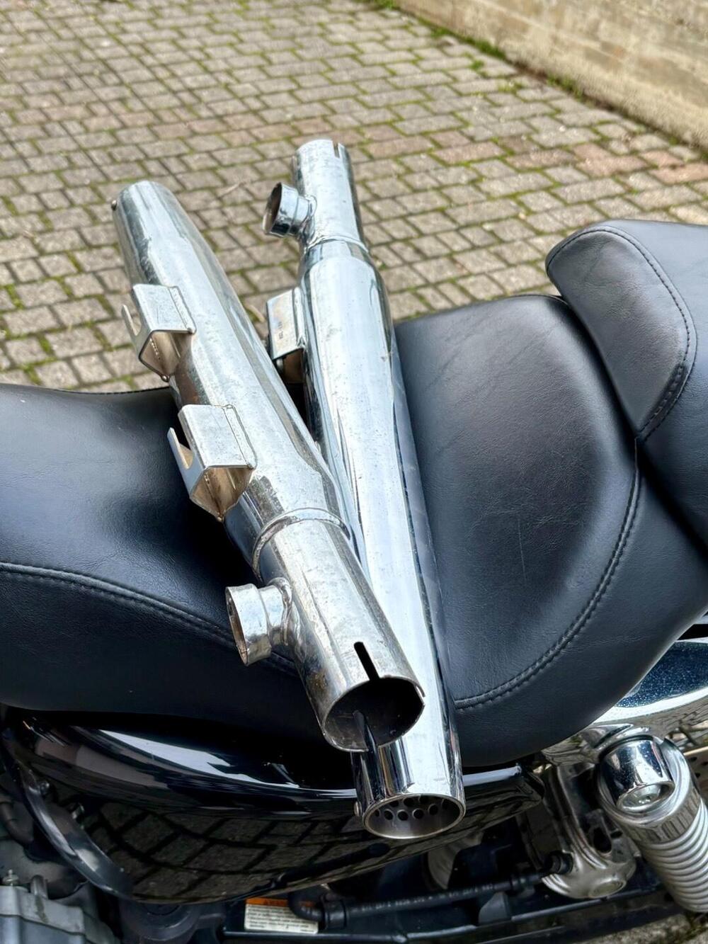 Harley-Davidson 883 (2008 - 09) - XL (5)