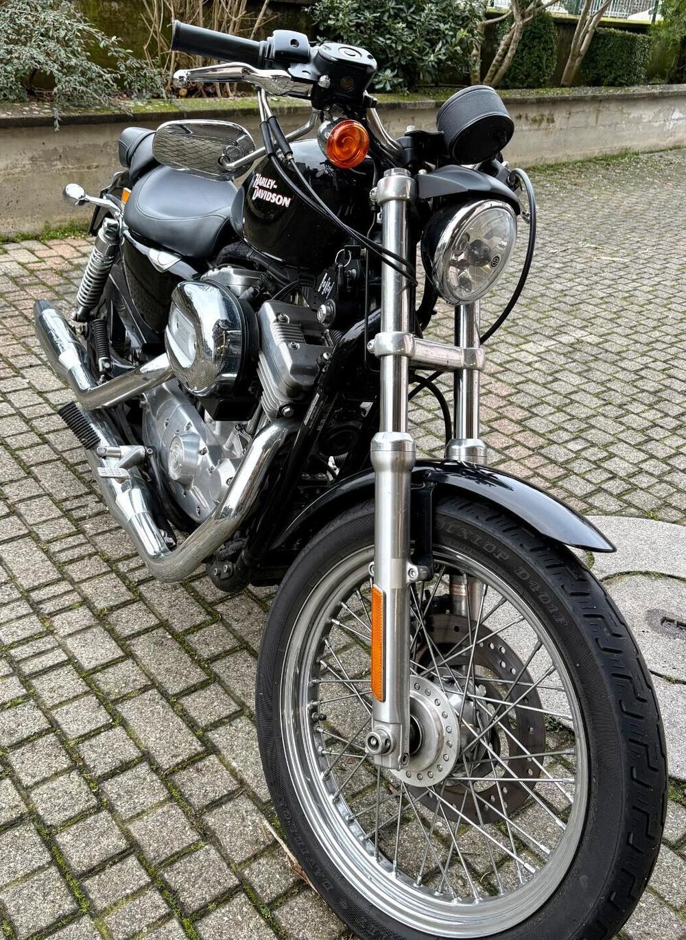 Harley-Davidson 883 (2008 - 09) - XL (3)