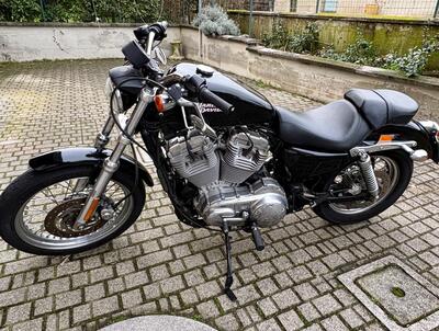 Harley-Davidson 883 (2008 - 09) - XL usata