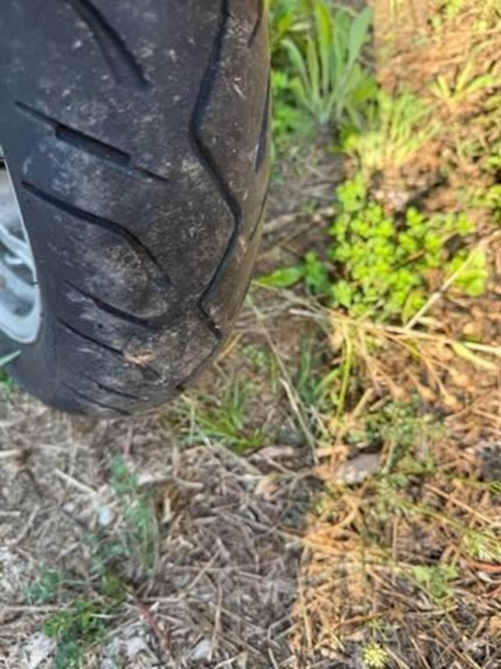 Suzuki Burgman AN 400 Limited Edition (2006 - 09) (4)