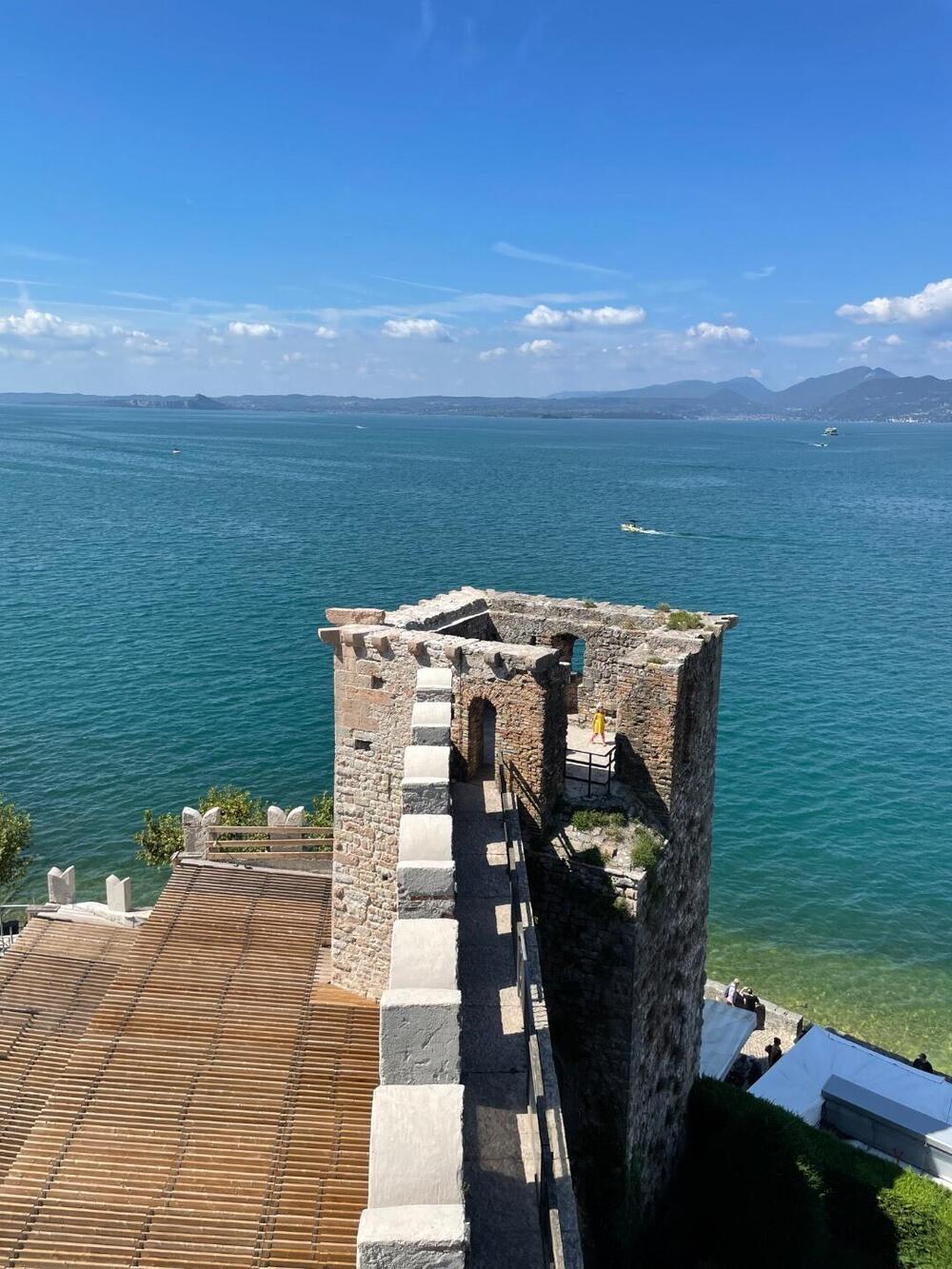 KTM 690 SMC R (2012 -17) (4)