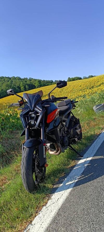 KTM 990 Duke (2024 - 26) usata