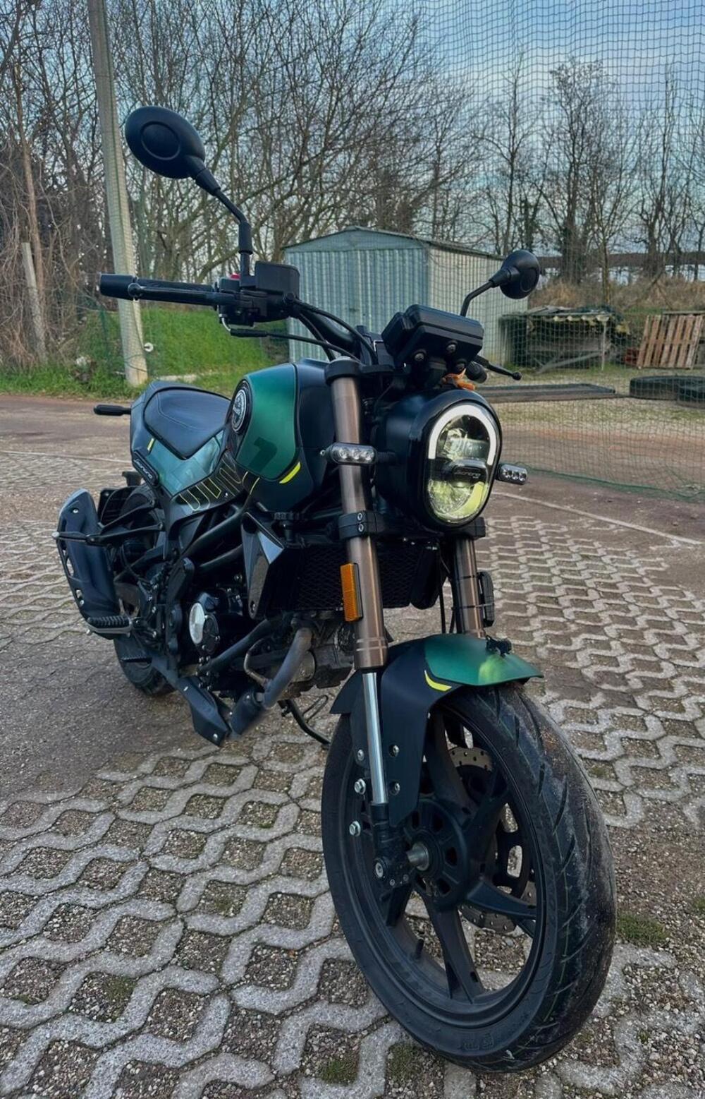 Benelli Leoncino 125 (2022 - 25) (5)