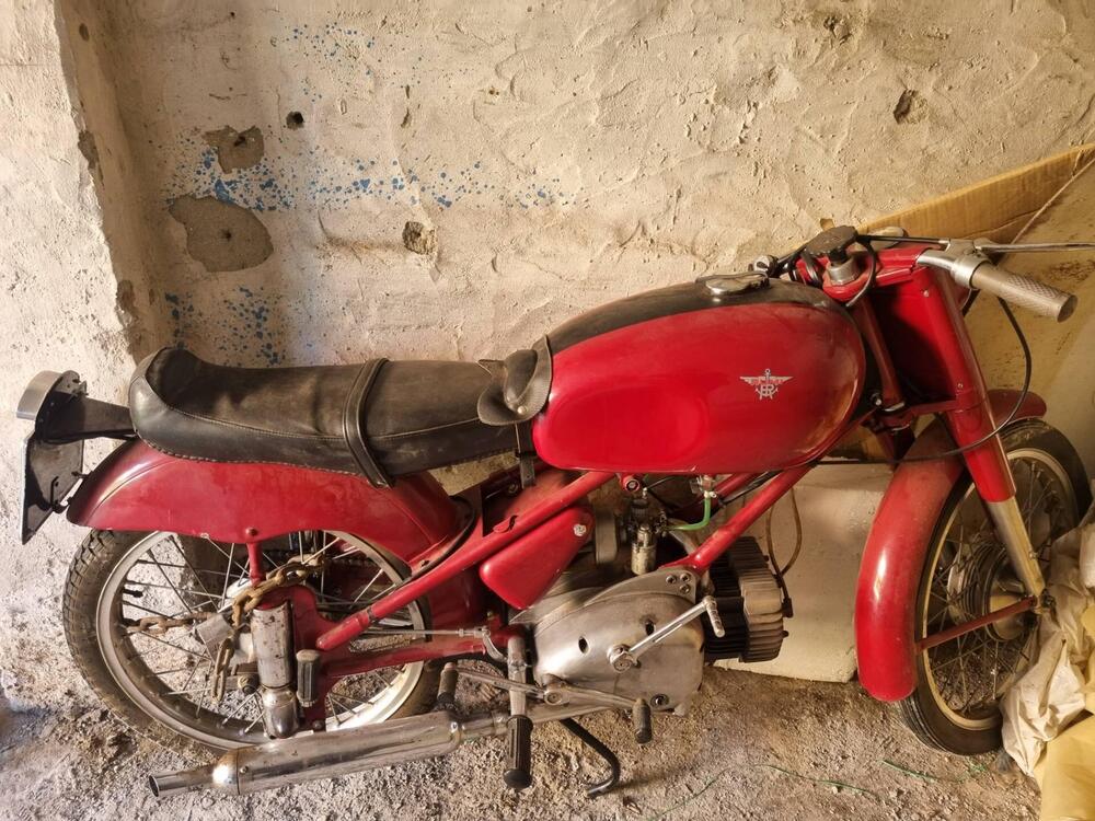 Rumi Turismo 1  (15)