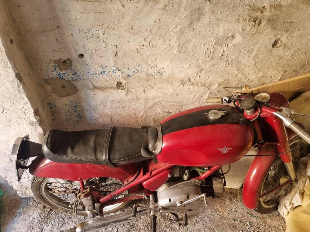 Rumi Turismo 1  (16)