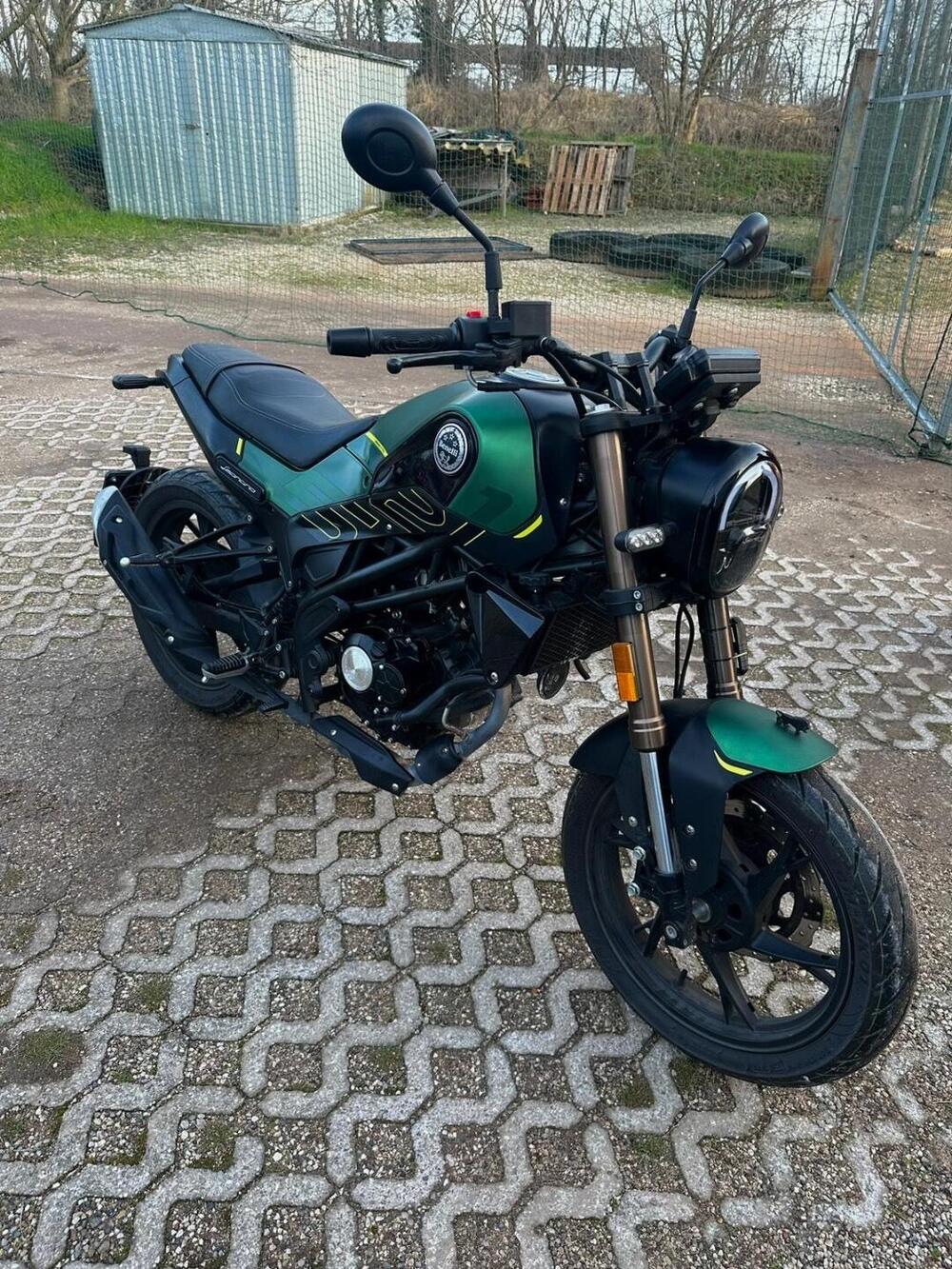 Benelli Leoncino 125 (2022 - 25) (6)