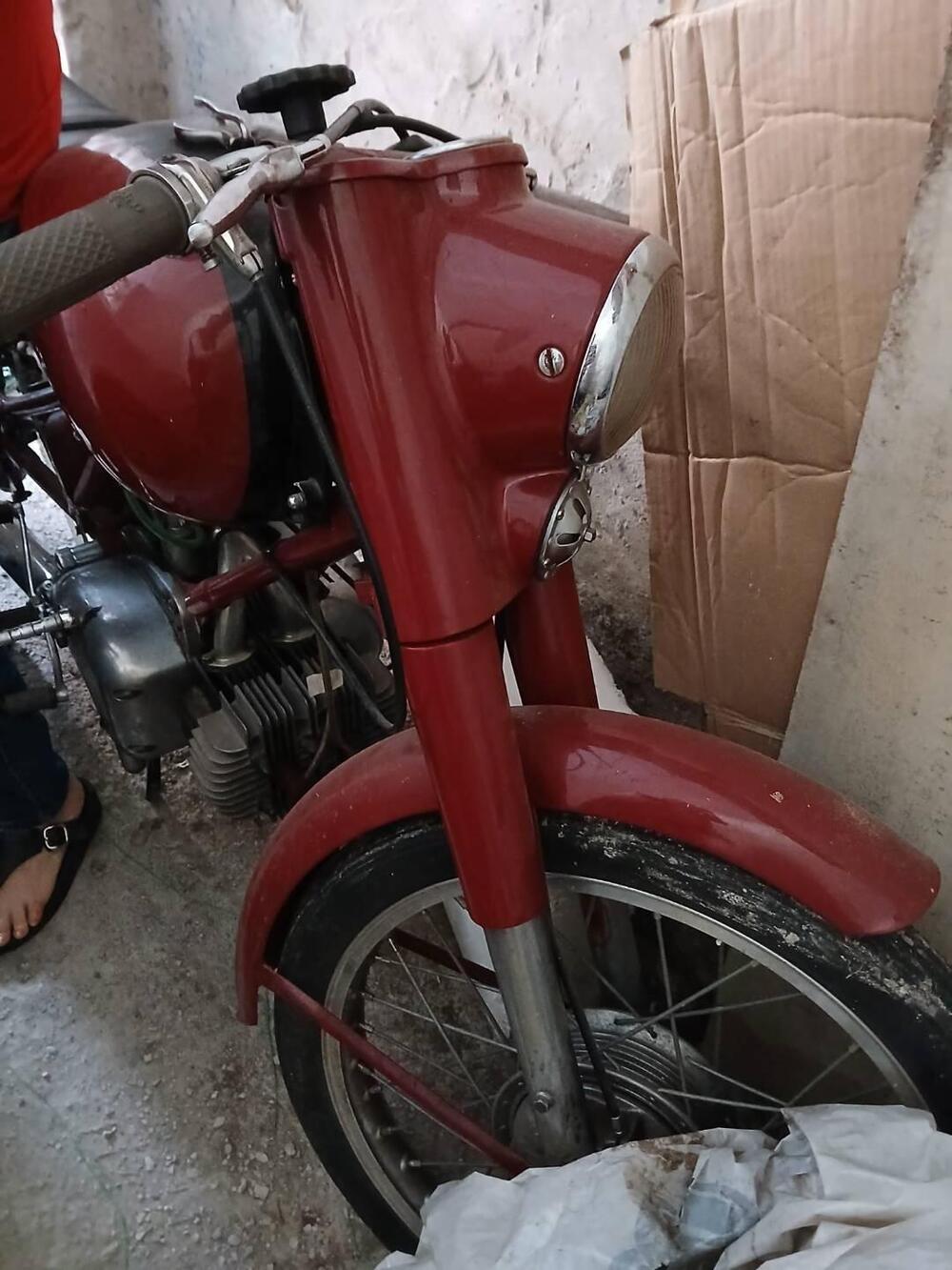 Rumi Turismo 1  (10)