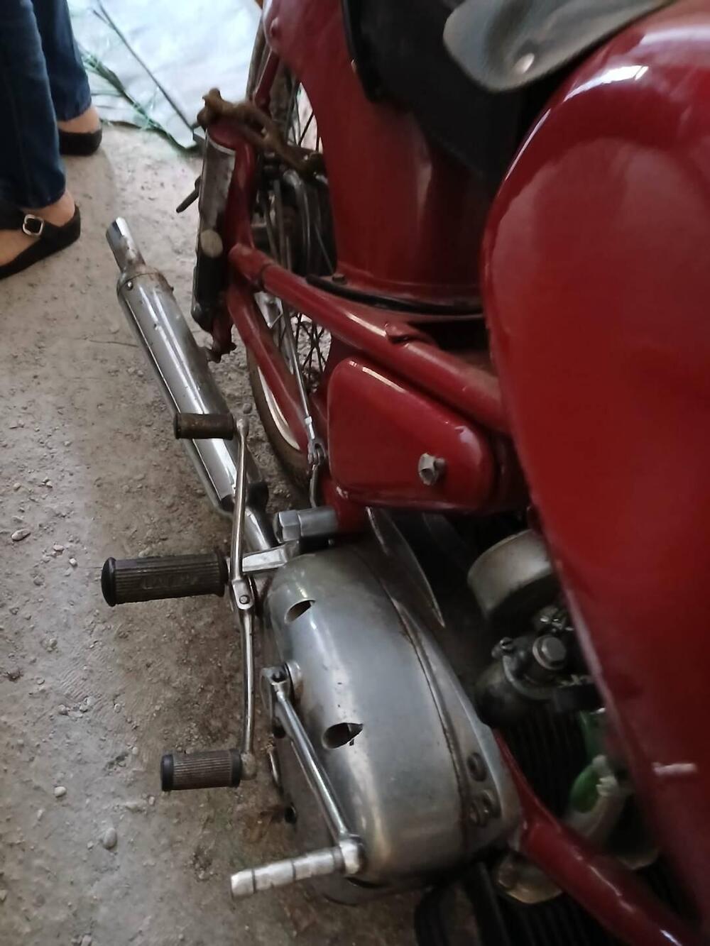 Rumi Turismo 1  (11)